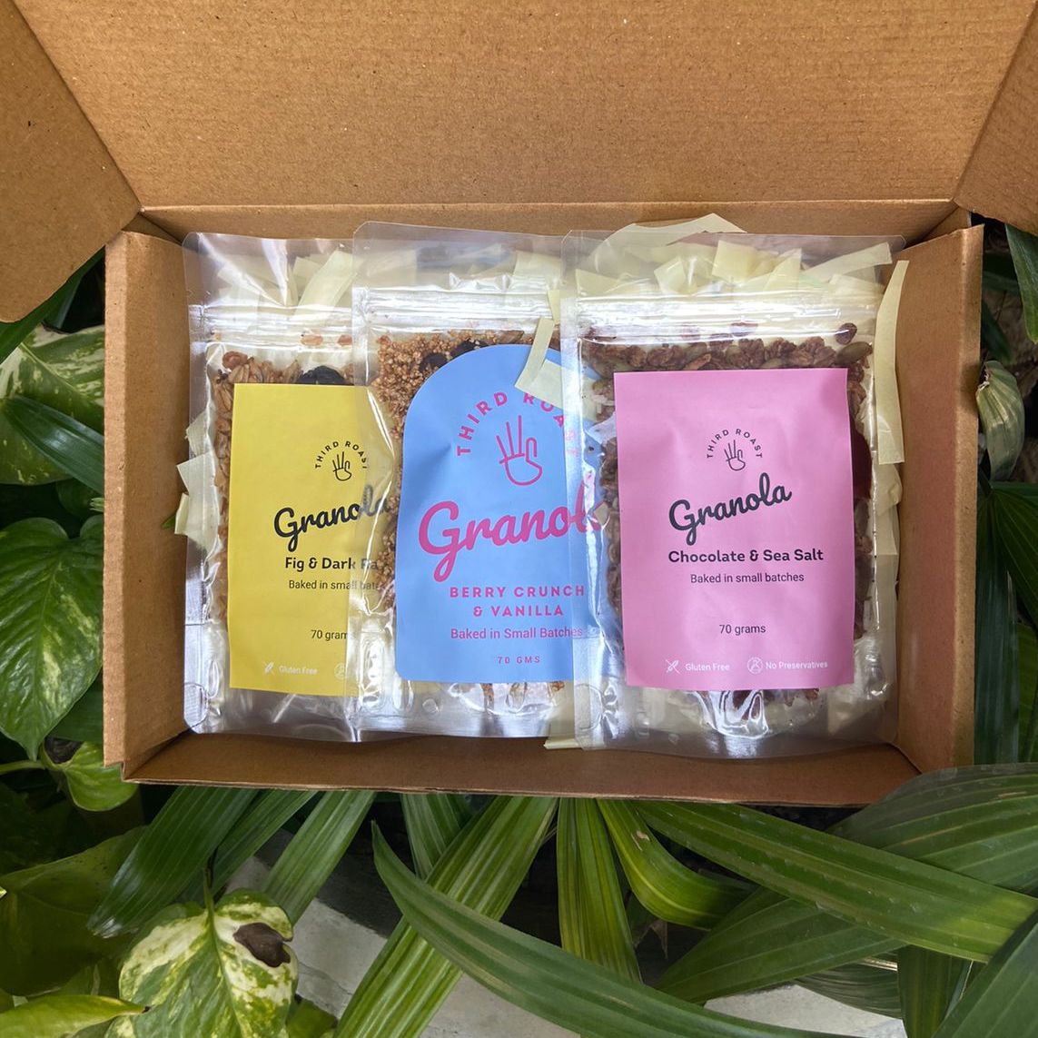Granola Trial Pack (Wholesome Breakfast + Snack)